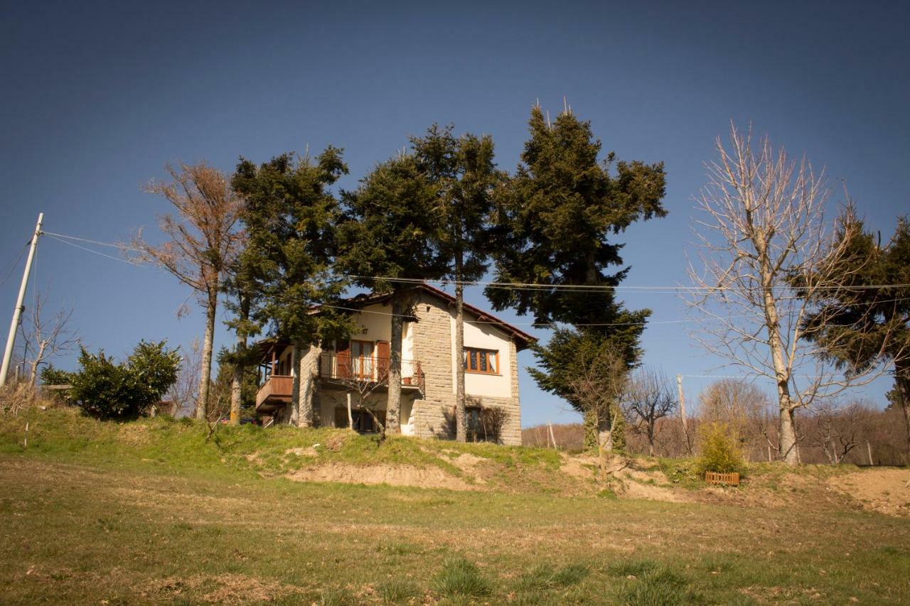 B&B Vista Casentino Pratovecchio Dış mekan fotoğraf
