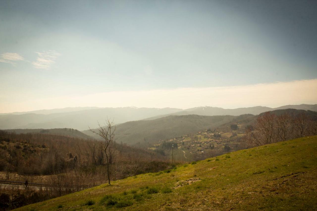 B&B Vista Casentino Pratovecchio Dış mekan fotoğraf