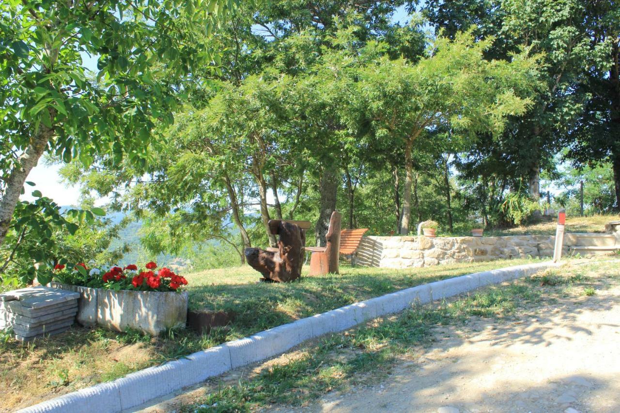 B&B Vista Casentino Pratovecchio Dış mekan fotoğraf