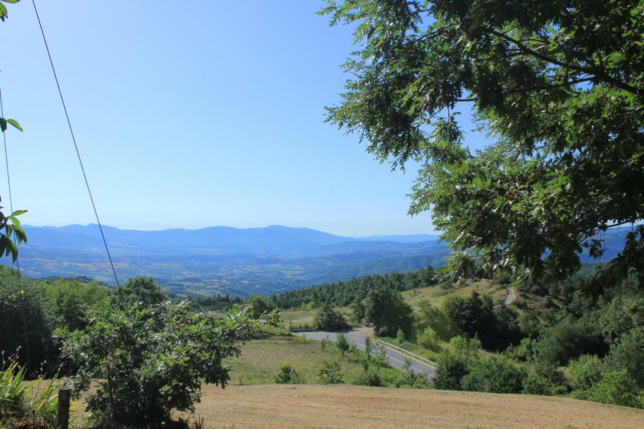 B&B Vista Casentino Pratovecchio Dış mekan fotoğraf